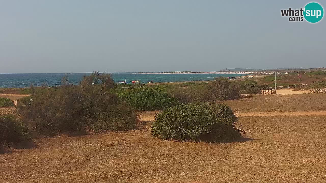 Plaža Mari Ermi | Is Arutas – Oristano