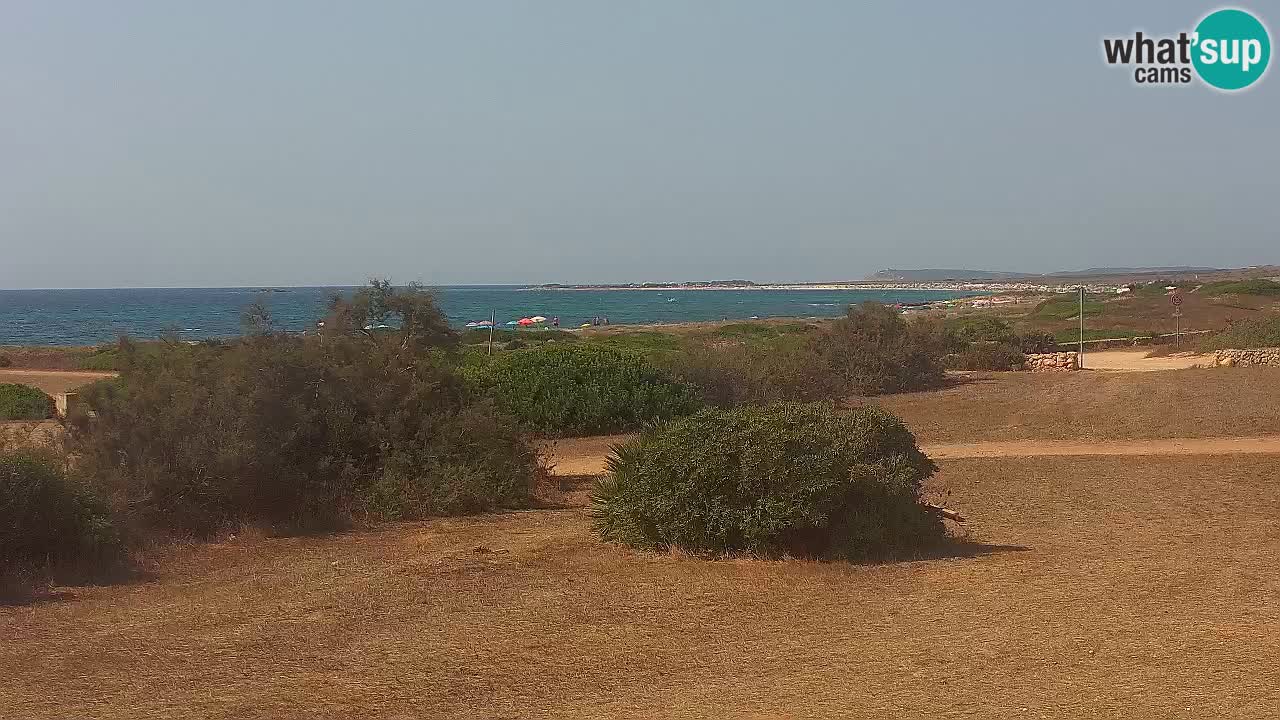 Mari Ermi Strand | Is Arutas – Oristano