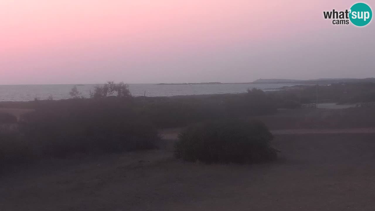 Plaža Mari Ermi | Is Arutas – Oristano