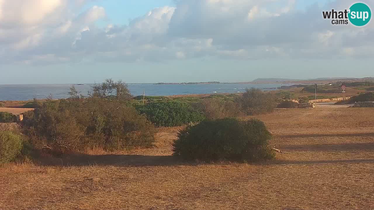 Plaža Mari Ermi | Is Arutas – Oristano