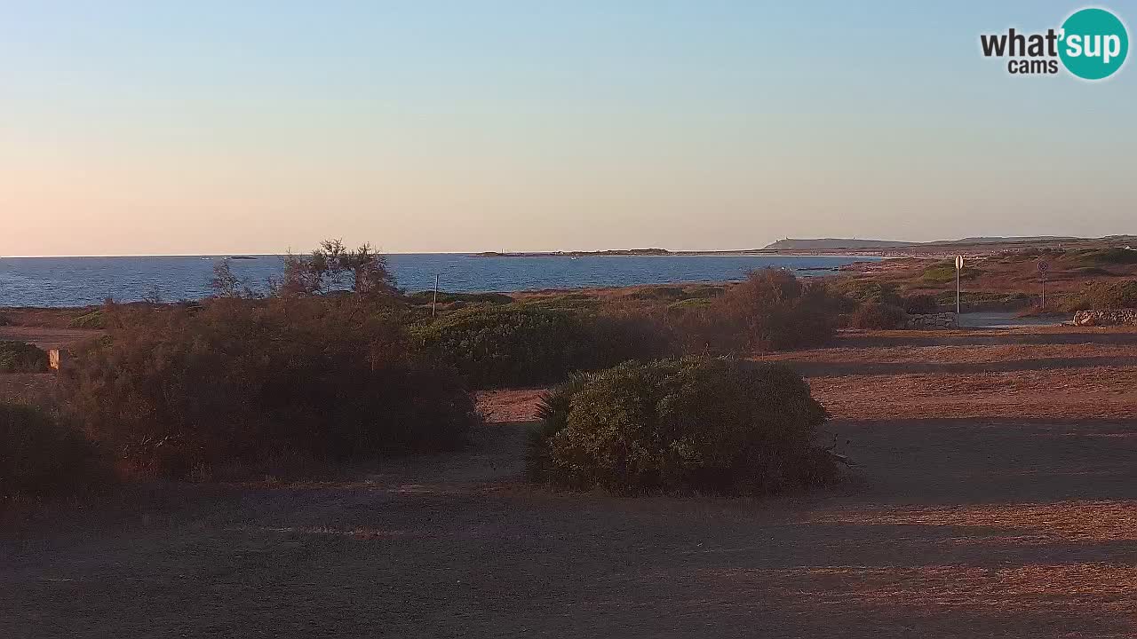 Mari Ermi Strand | Is Arutas – Oristano