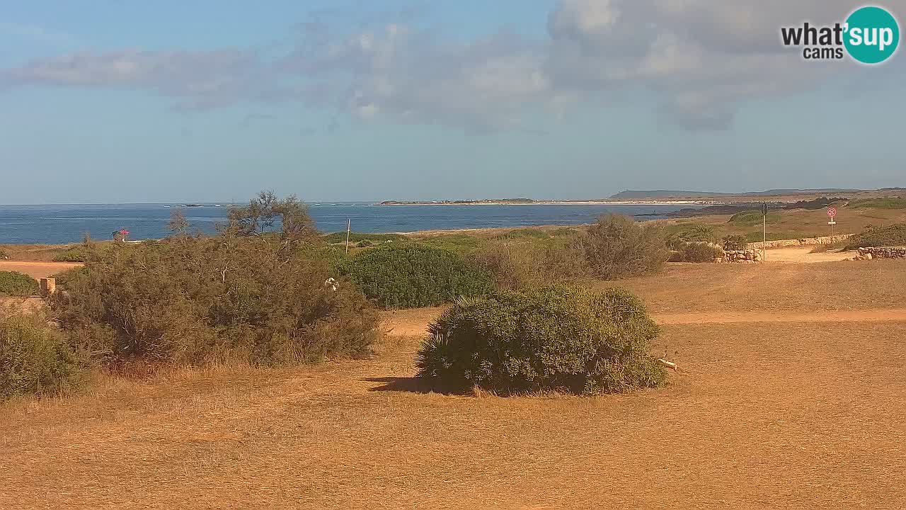 Spiaggia Mari Ermi | Is Arutas – Oristano