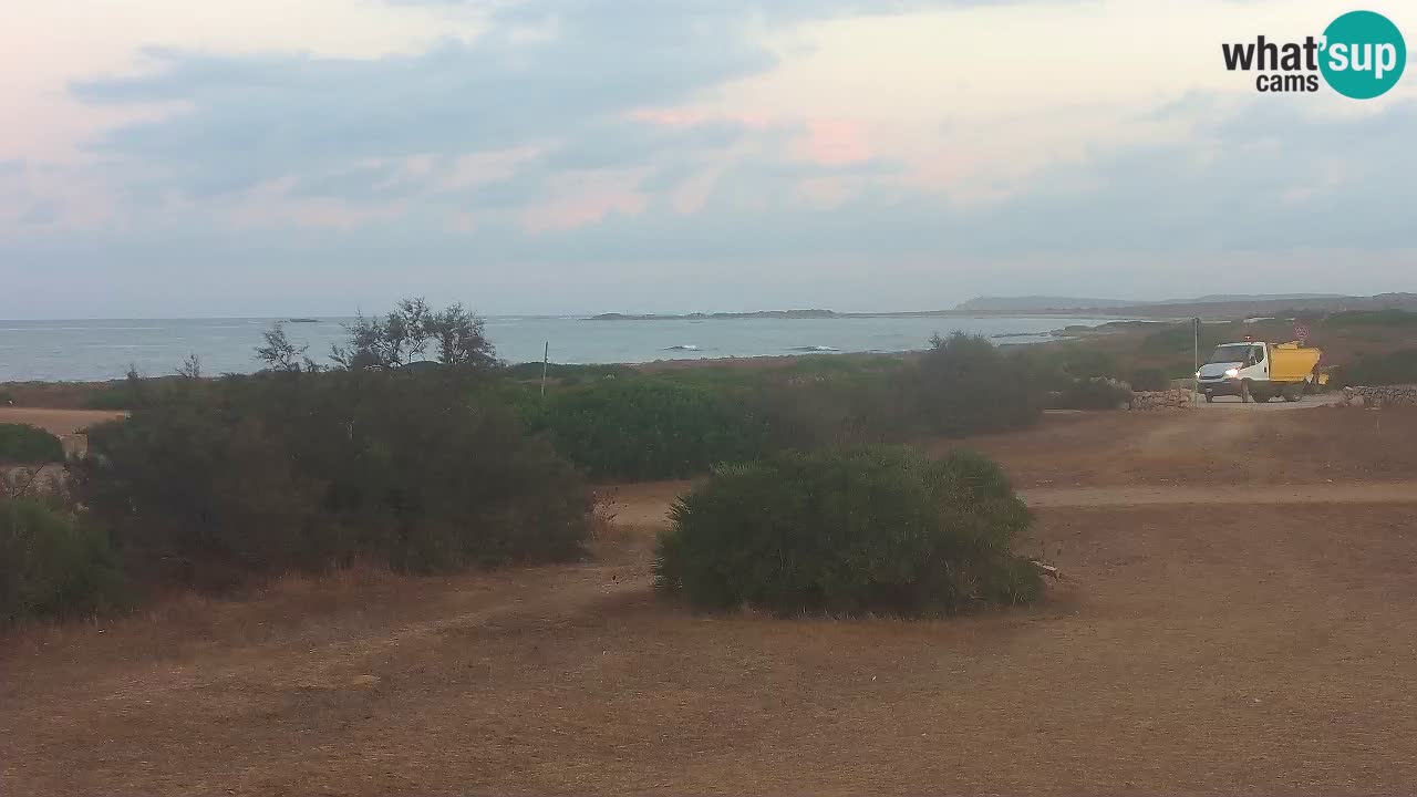 Mari Ermi Strand | Is Arutas – Oristano