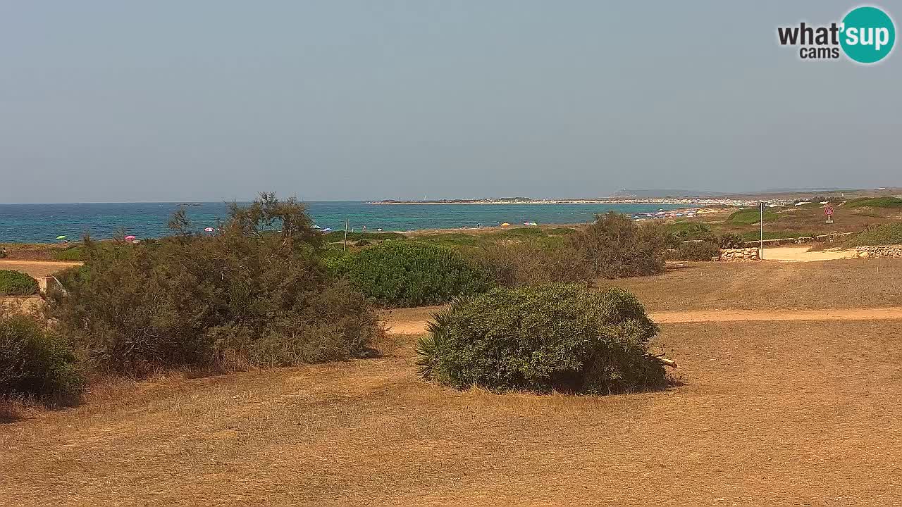 Mari Ermi beach | Is Arutas – Oristano