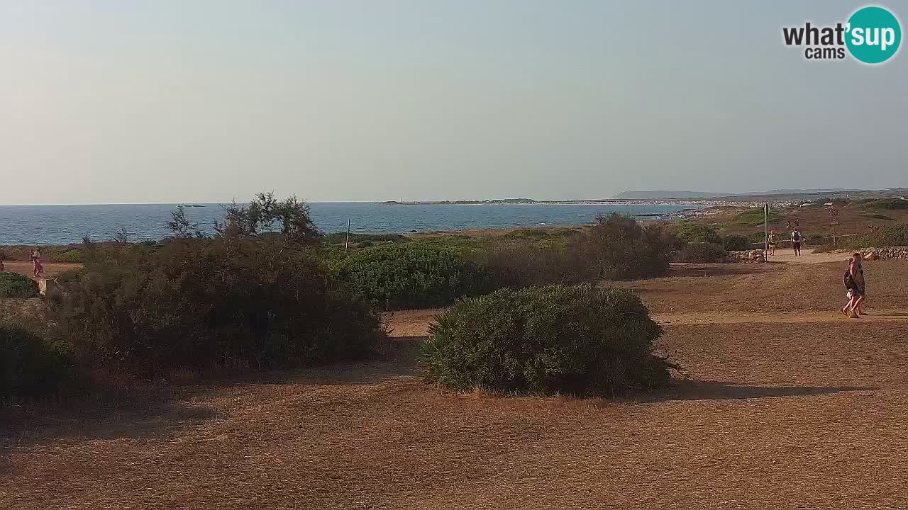 Mari Ermi beach | Is Arutas – Oristano