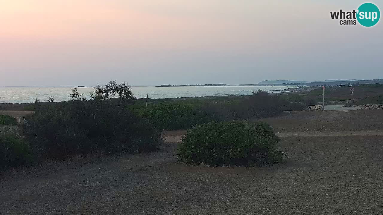 Playa Mari Ermi | Is Arutas – Oristano