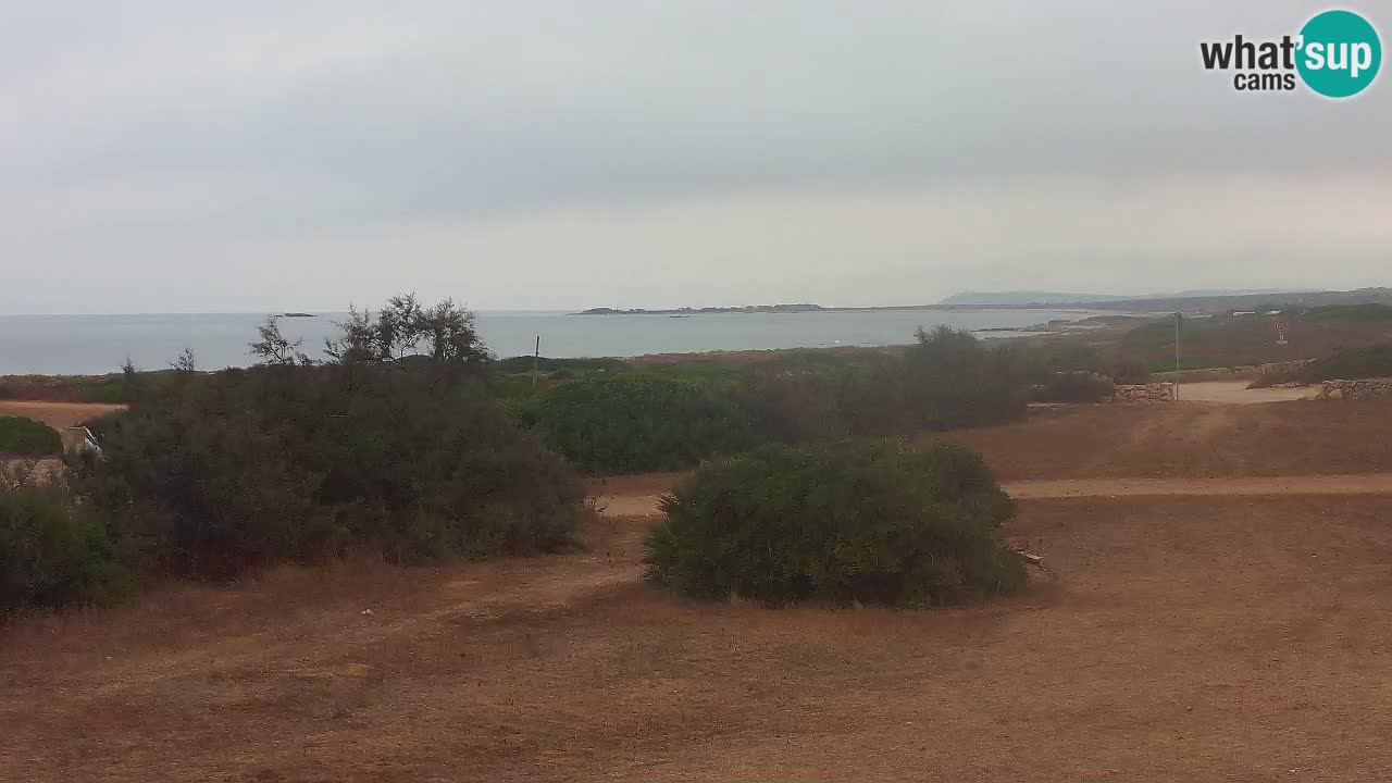 Mari Ermi Strand | Is Arutas – Oristano