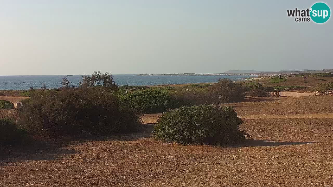 Mari Ermi Strand | Is Arutas – Oristano