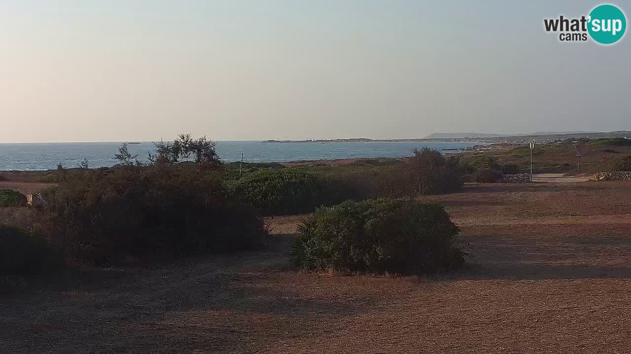 Mari Ermi Strand | Is Arutas – Oristano