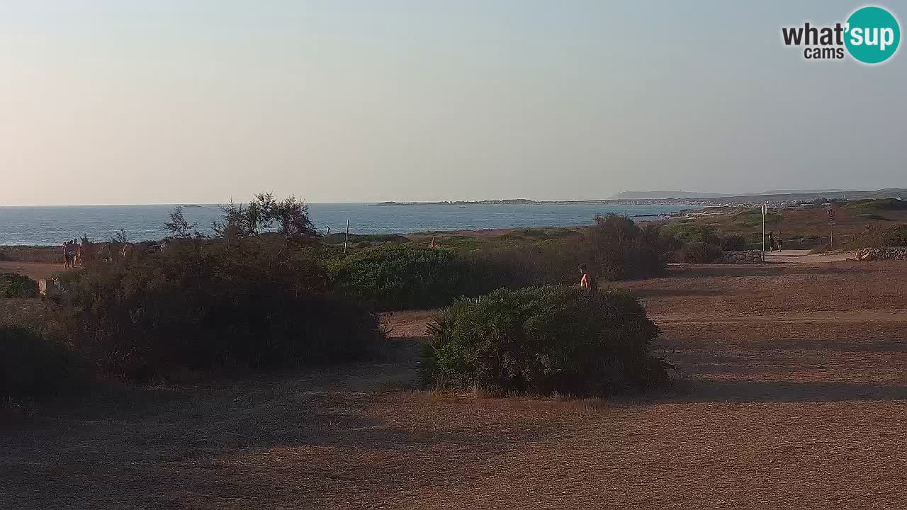 Spiaggia Mari Ermi | Is Arutas – Oristano
