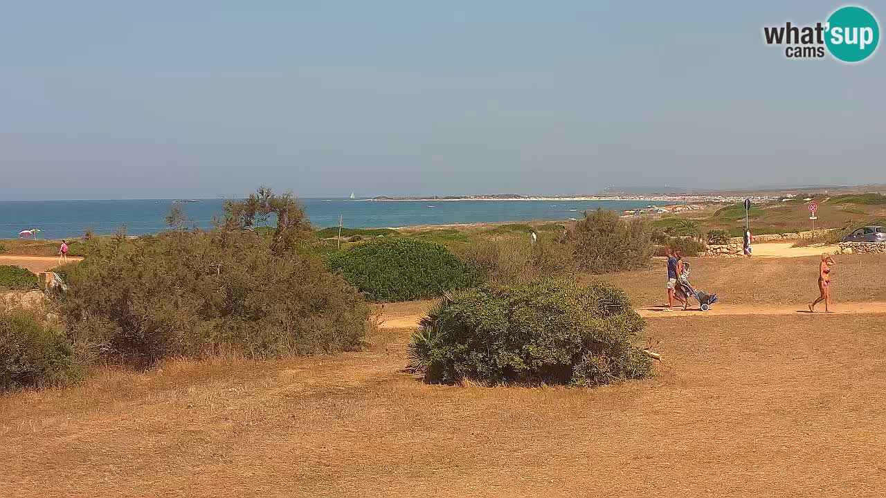 Plaža Mari Ermi | Is Arutas – Oristano