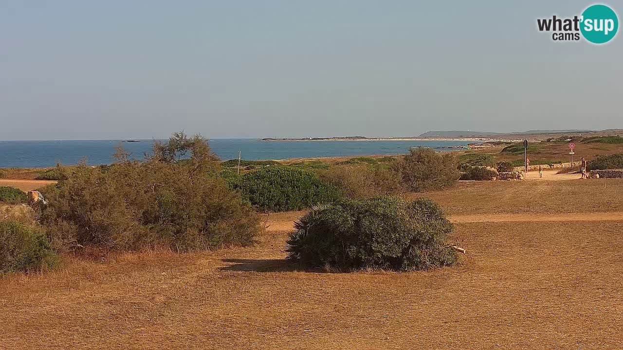 Mari Ermi Strand | Is Arutas – Oristano