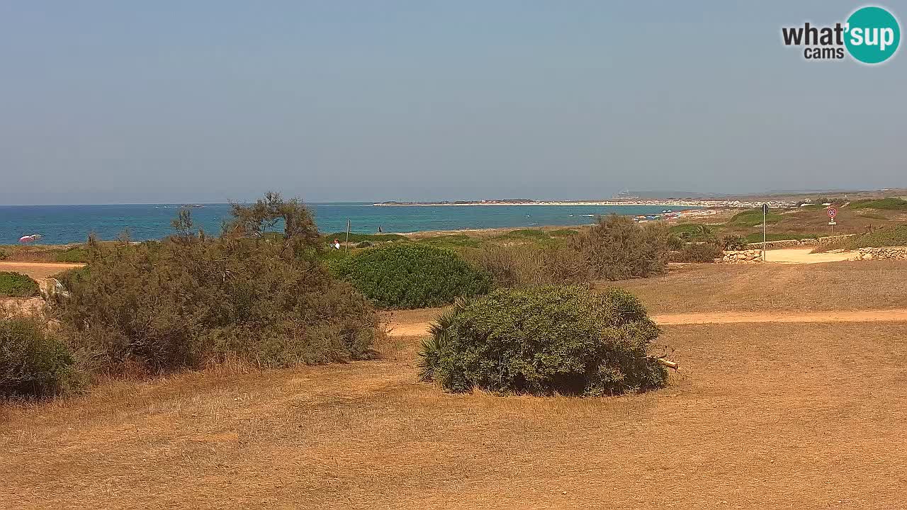 Mari Ermi Strand | Is Arutas – Oristano
