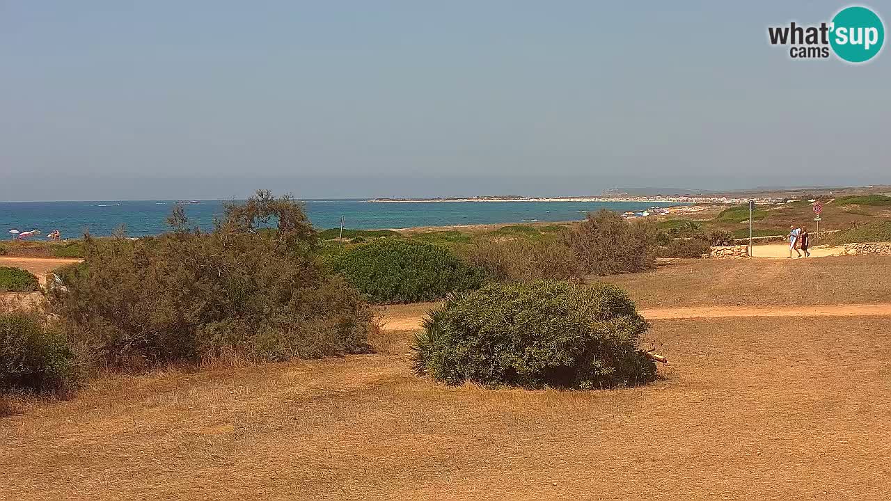 Mari Ermi Strand | Is Arutas – Oristano