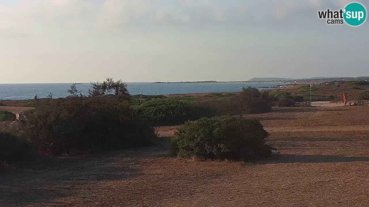 Playa Mari Ermi | Is Arutas – Oristano