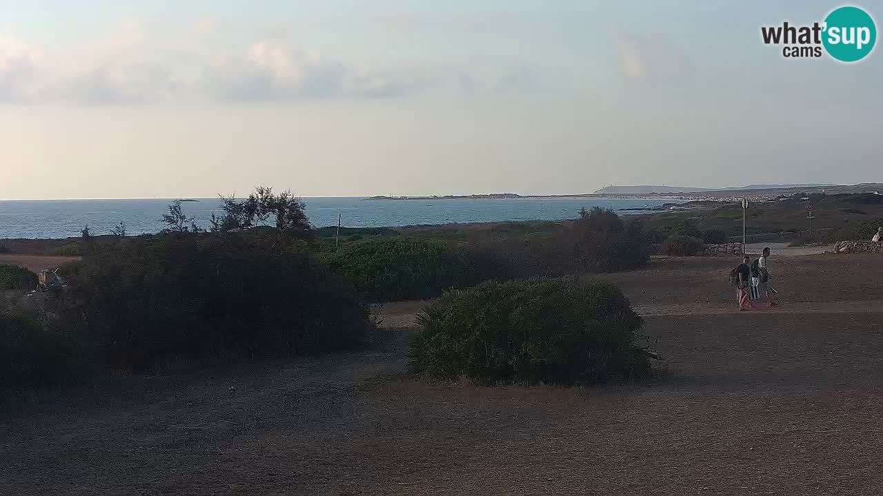 Mari Ermi Strand | Is Arutas – Oristano