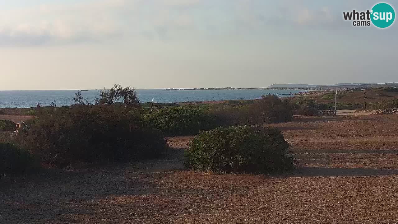 Playa Mari Ermi | Is Arutas – Oristano