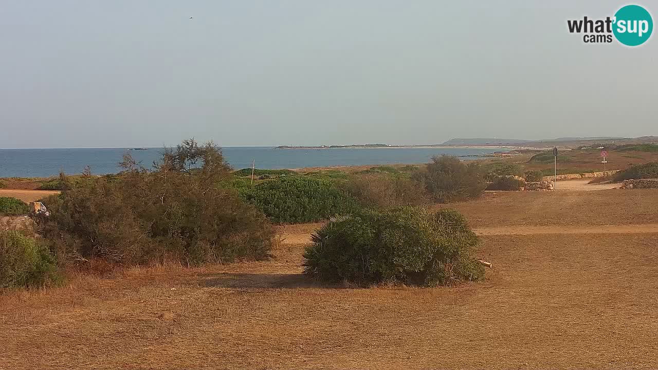 Mari Ermi Strand | Is Arutas – Oristano