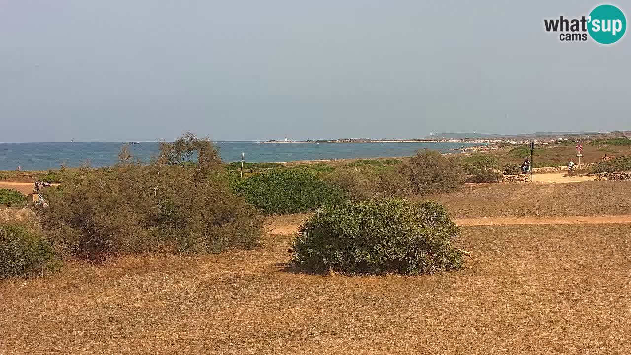 Playa Mari Ermi | Is Arutas – Oristano