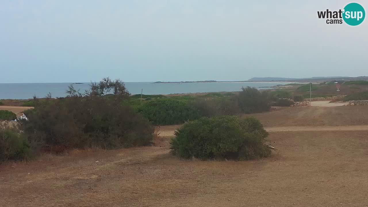 Plage Mari Ermi | Is Arutas – Oristano