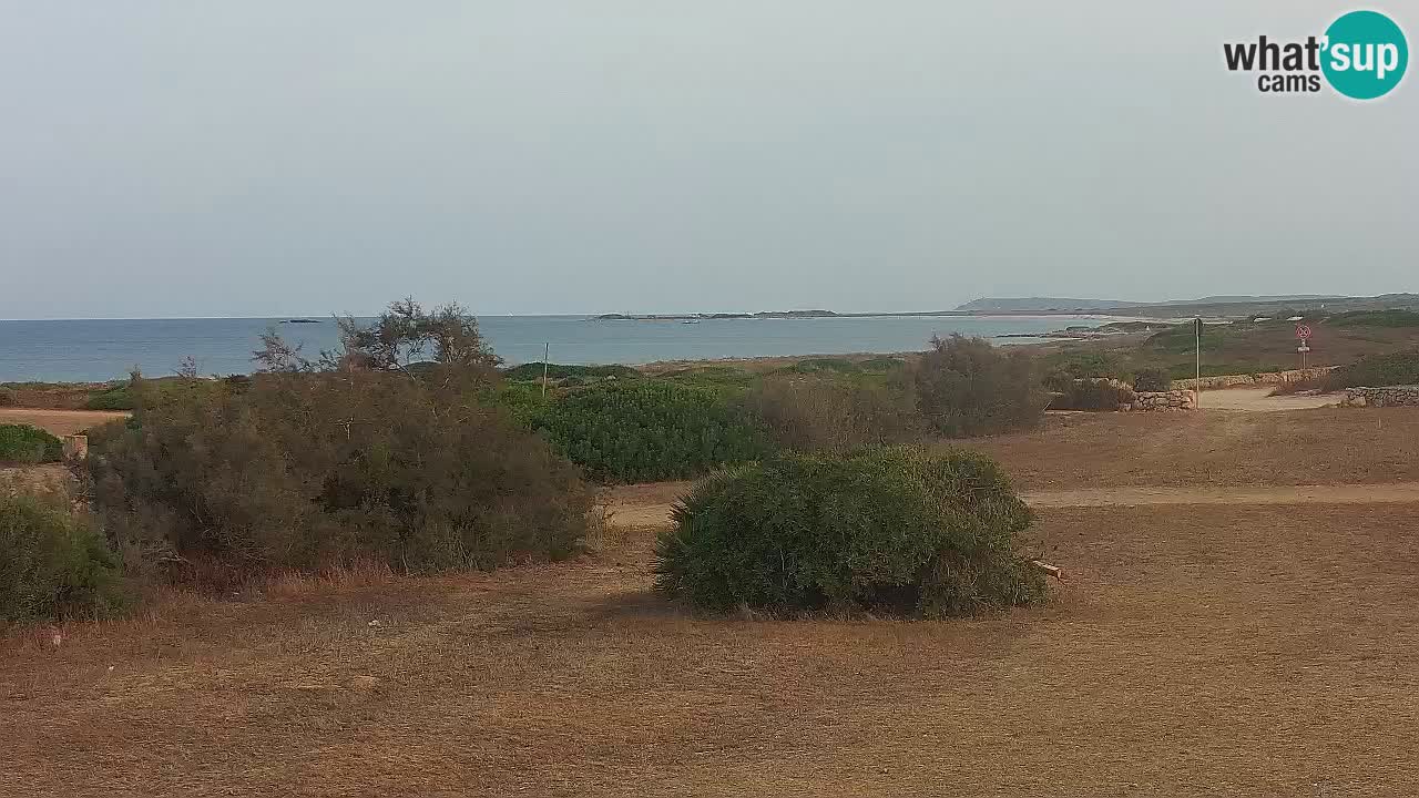 Plaža Mari Ermi | Is Arutas – Oristano