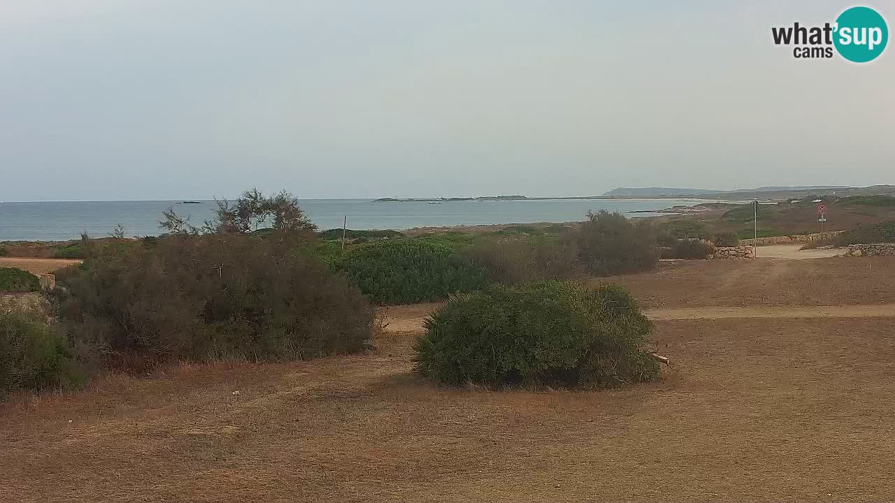Playa Mari Ermi | Is Arutas – Oristano