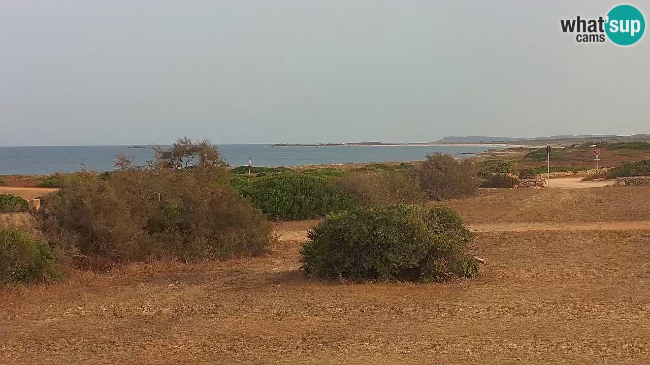 Plaža Mari Ermi | Is Arutas – Oristano
