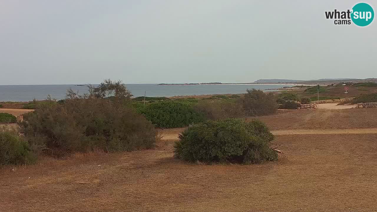 Playa Mari Ermi | Is Arutas – Oristano