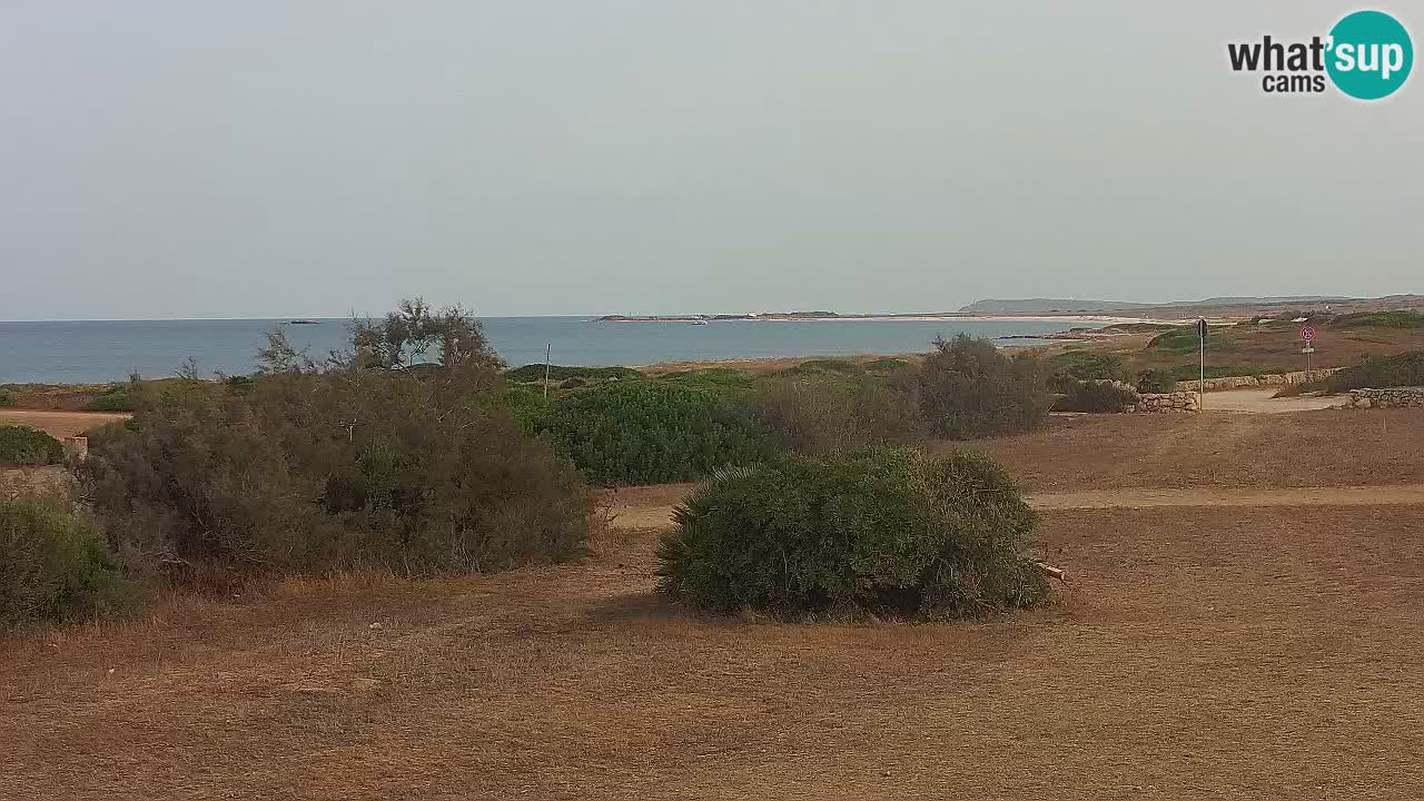 Playa Mari Ermi | Is Arutas – Oristano