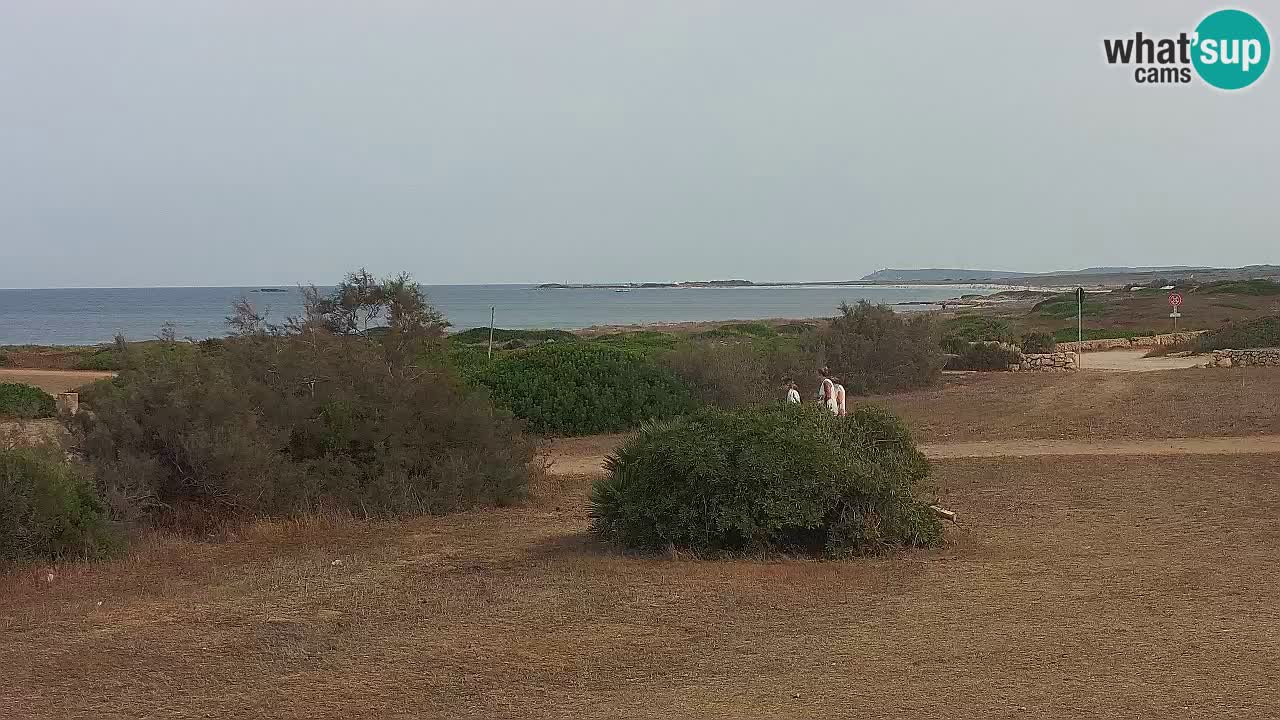 Spiaggia Mari Ermi | Is Arutas – Oristano