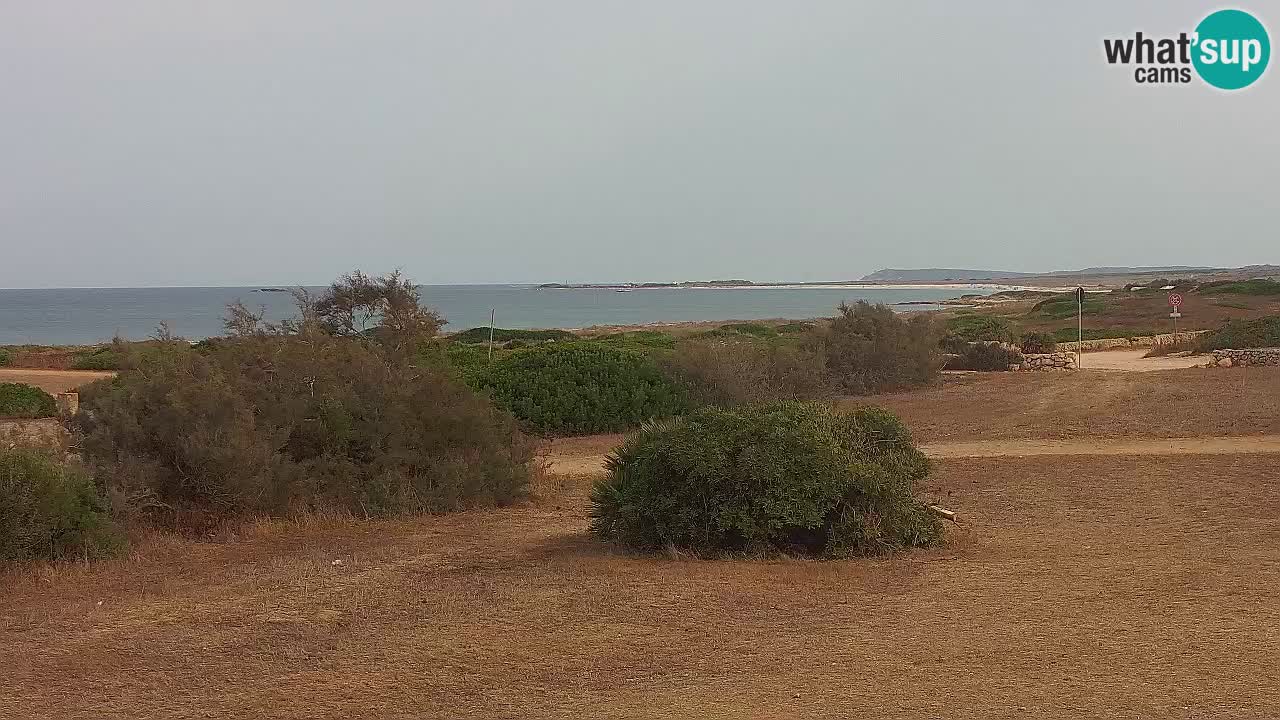 Plage Mari Ermi | Is Arutas – Oristano