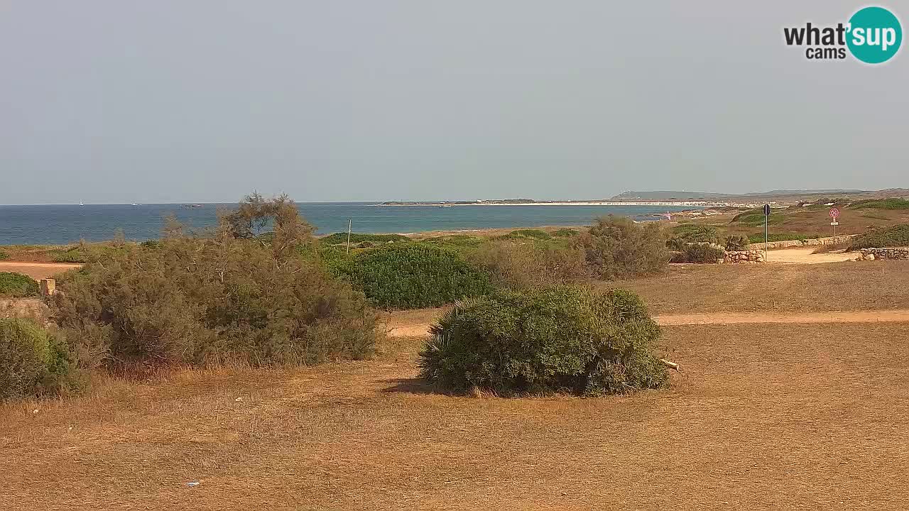 Plage Mari Ermi | Is Arutas – Oristano