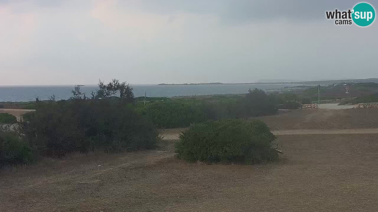 Plaža Mari Ermi | Is Arutas – Oristano