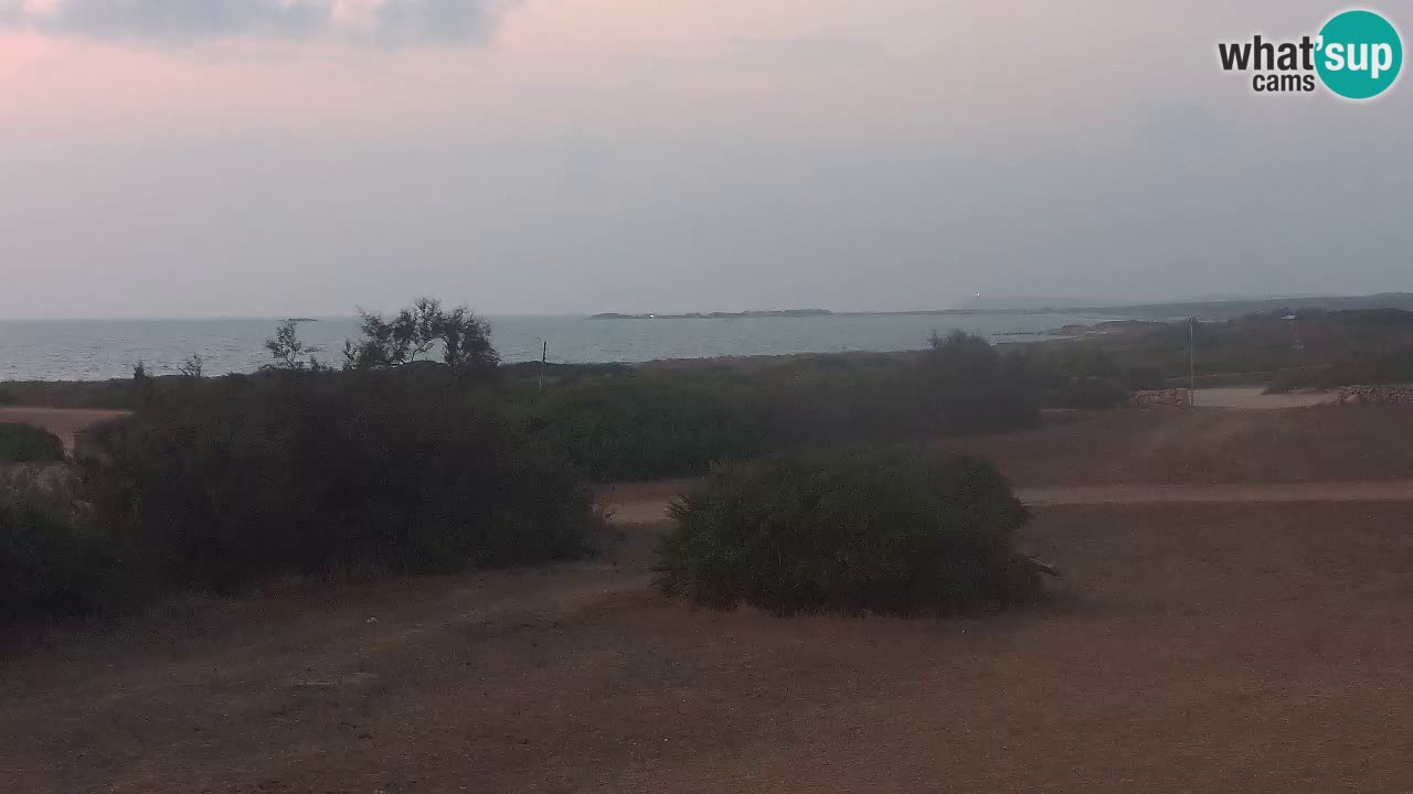 Plaža Mari Ermi | Is Arutas – Oristano