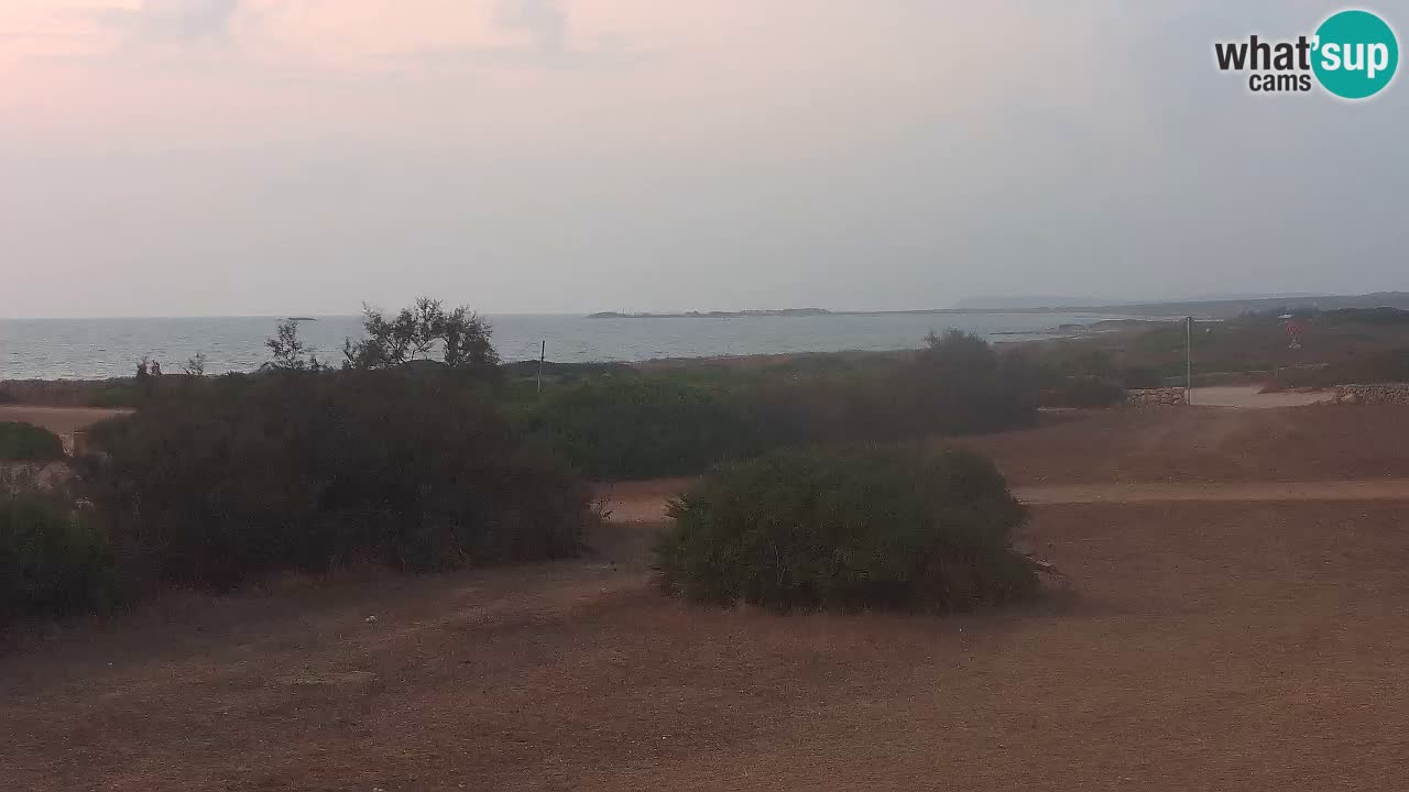 Mari Ermi Strand | Is Arutas – Oristano