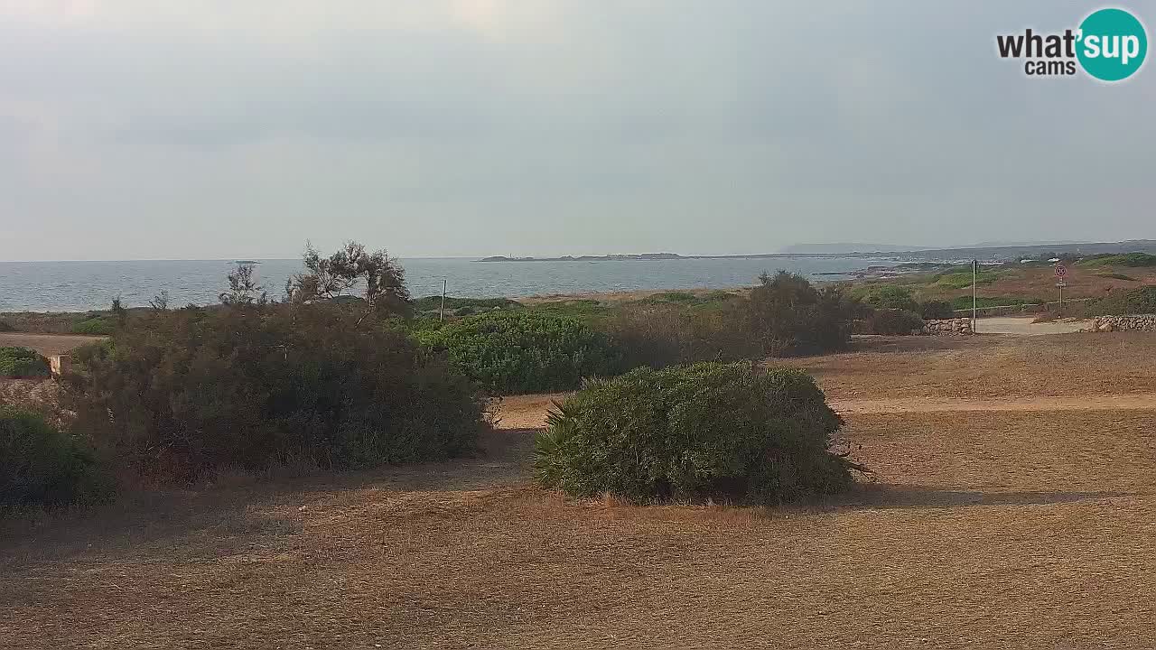 Plaža Mari Ermi | Is Arutas – Oristano