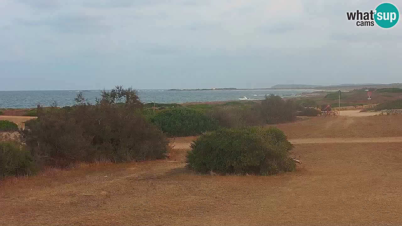 Playa Mari Ermi | Is Arutas – Oristano