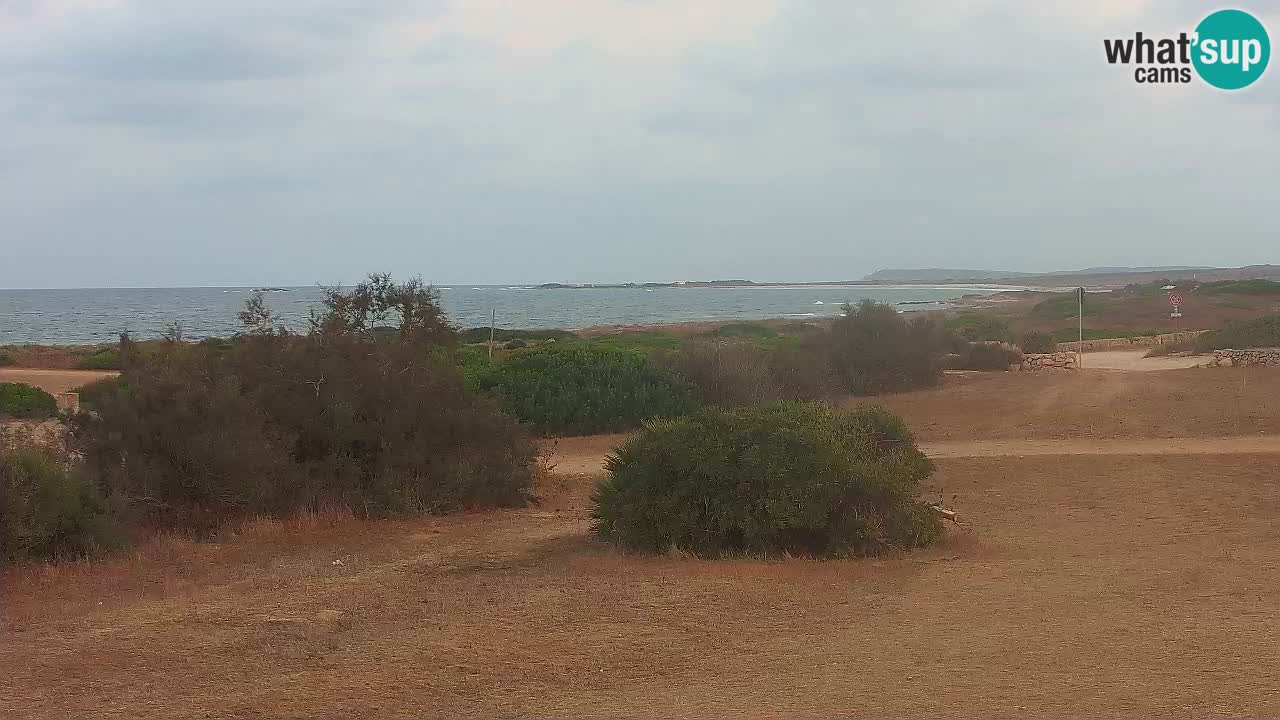 Playa Mari Ermi | Is Arutas – Oristano