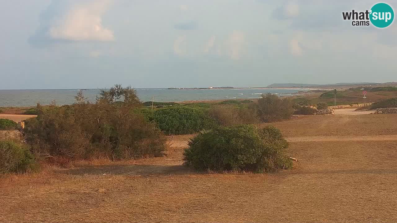 Plaža Mari Ermi | Is Arutas – Oristano