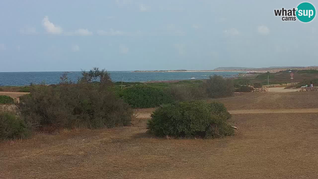 Plage Mari Ermi | Is Arutas – Oristano