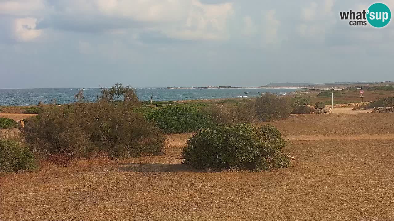 Mari Ermi beach | Is Arutas – Oristano