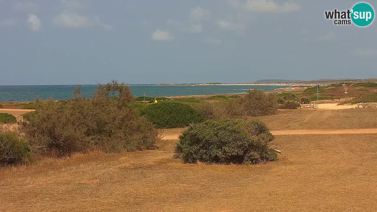Plaža Mari Ermi | Is Arutas – Oristano