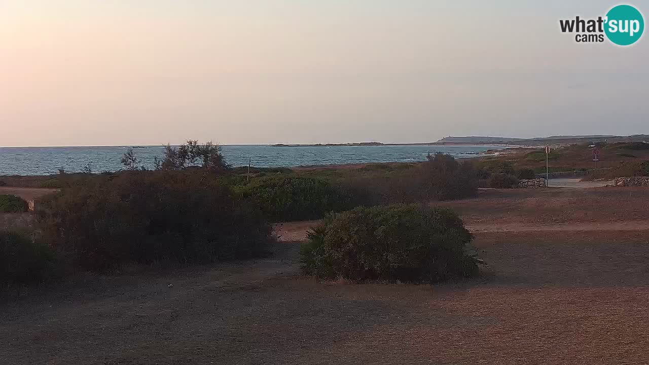 Plaža Mari Ermi | Is Arutas – Oristano