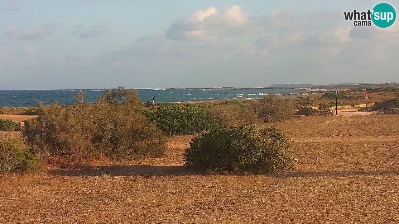 Plage Mari Ermi | Is Arutas – Oristano