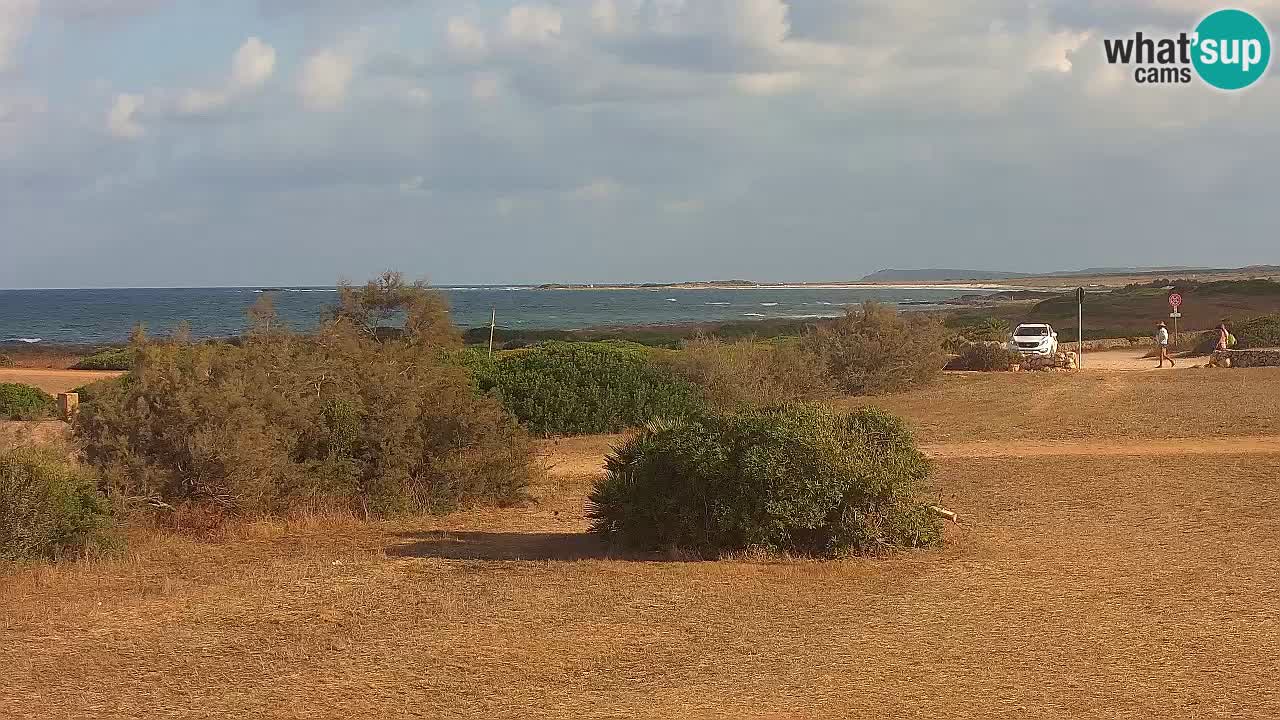 Plaža Mari Ermi | Is Arutas – Oristano