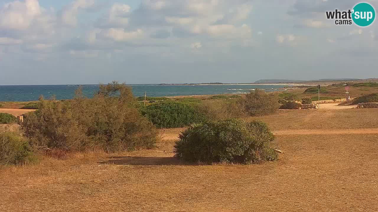 Plaža Mari Ermi | Is Arutas – Oristano