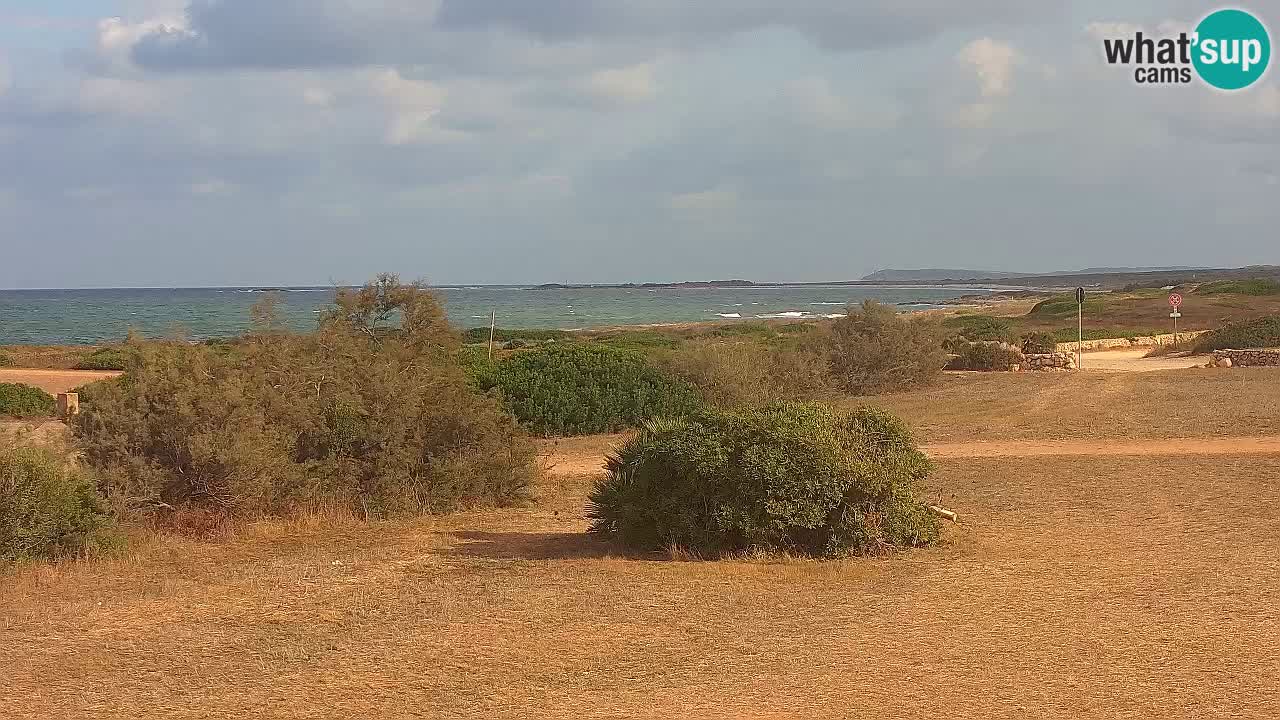 Plaža Mari Ermi | Is Arutas – Oristano