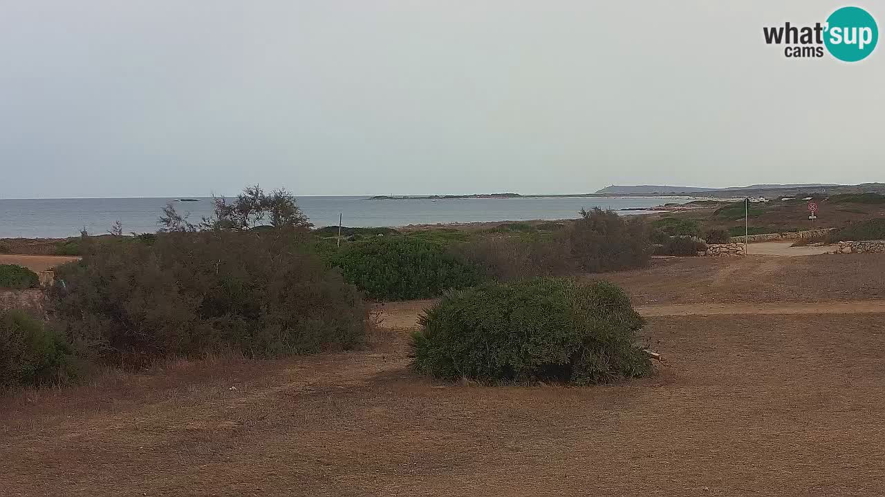 Plaža Mari Ermi | Is Arutas – Oristano