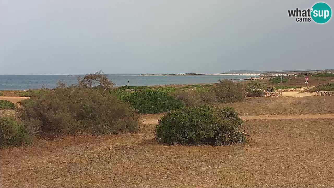 Plaža Mari Ermi | Is Arutas – Oristano