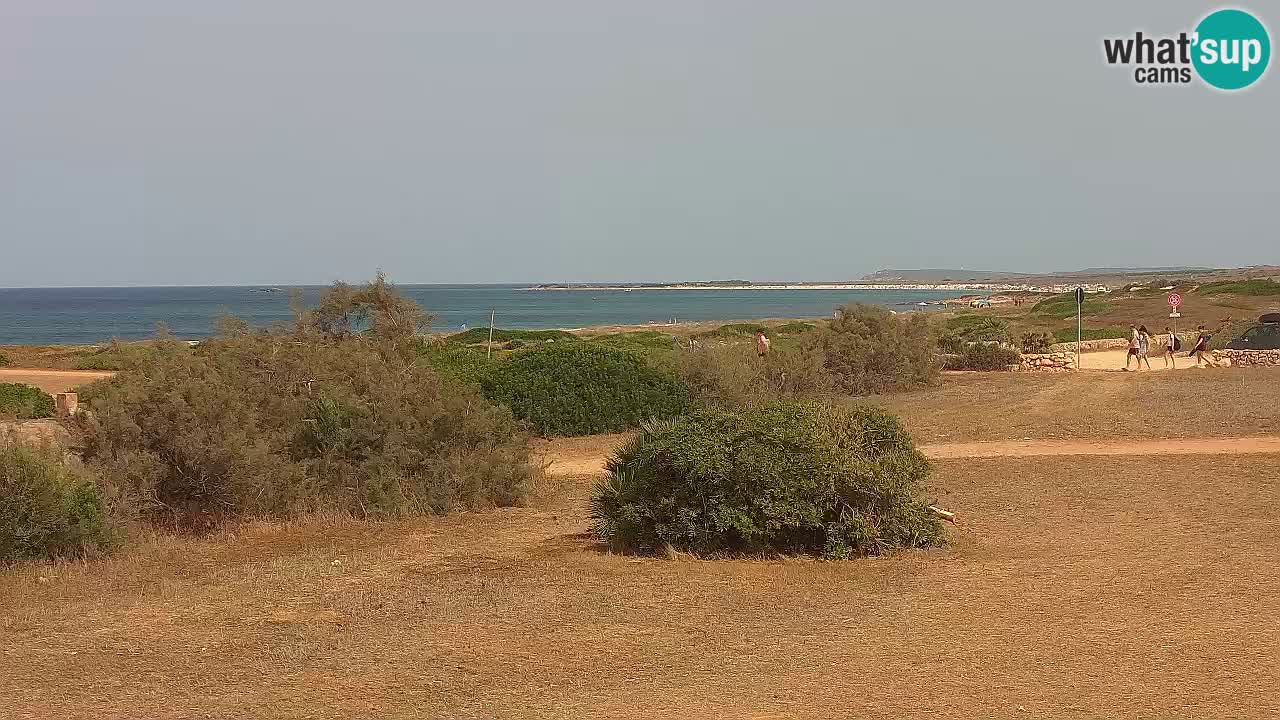 Plage Mari Ermi | Is Arutas – Oristano